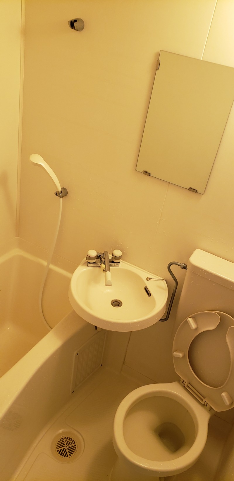 NT102 トイレ 浴室.jpg