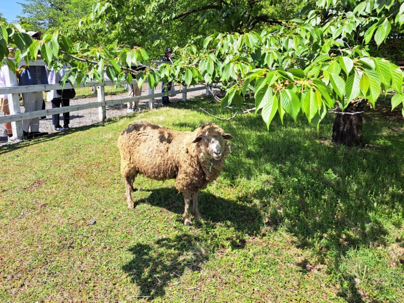 KakaoTalk_20250504_153101114.jpg