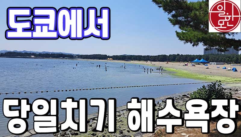 일한모.jpg