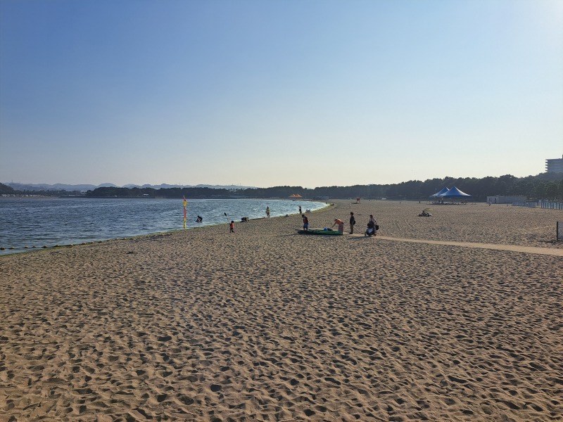 20250824_161915.jpg