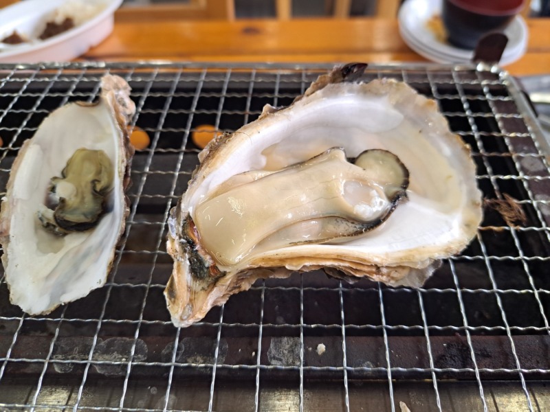 KakaoTalk_20251021_154944785_17.jpg